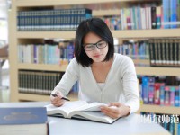 成都洞子口職業(yè)幼兒師范高級中學(xué)介紹、地址