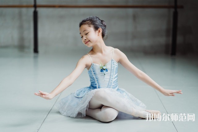 南充電子工業(yè)幼兒師范學(xué)校介紹、地址